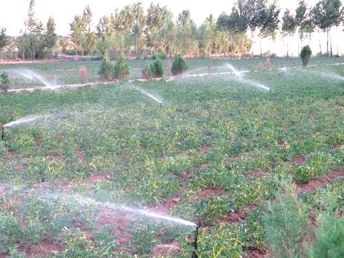 低速旋轉噴頭示意圖